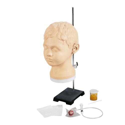 Diagnostic and Procedural Ear Trainer, 1017258 [W44747], Ear, Nose and Throat Examination