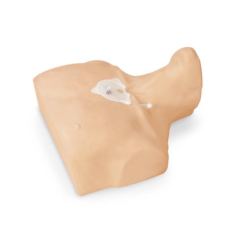 成人胸骨骨髓输液模拟装置, 1017947 [W44772], 注射和穿刺