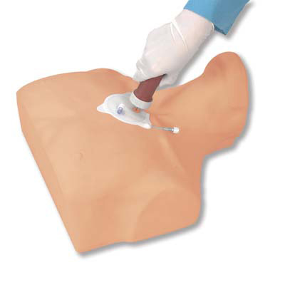 Simulador de infus&atilde;o intra-&oacute;ssea do esterno Adulto, 1017947 [W44772], Inje&ccedil;&otilde;es e Pun&ccedil;&atilde;o