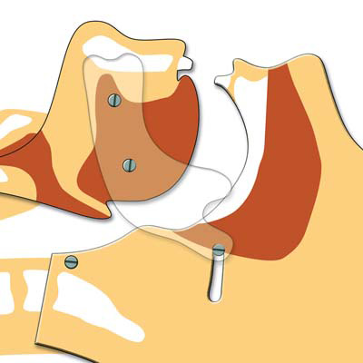 Airway Simulation Board, 1024350 [W44776], BLS adulto