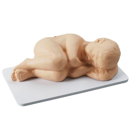 Simulador de punci&oacute;n lumbar pedi&aacute;trica., 1017244 [W44781], Inyecciones y punci&oacute;n