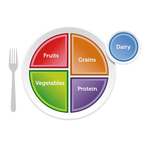 MyPlate 饮食指导餐盘, 1018316 [W44791], 营养学教育训练模型