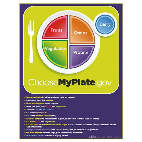 MyPlate 卡片, 带有食物分组提示, 1018321 [W44791TP], 营养学教育训练模型