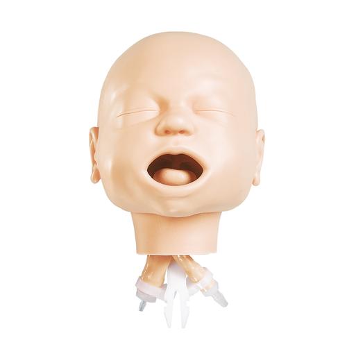 Infant Airway Management Trainer, Head Only, 1017953 [W44801], Consumables