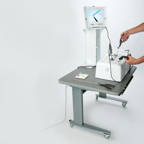T5 RM 大尺寸模型 240V, 1020092 [W44909], 腹腔镜检查