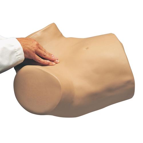 GYN/AID Jinekolojik Sim&uuml;lat&ouml;r, 1005789 [W45024], Jinekoloji