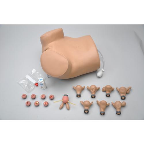 GYN/AID Jinekolojik Sim&uuml;lat&ouml;r, 1005789 [W45024], Jinekoloji