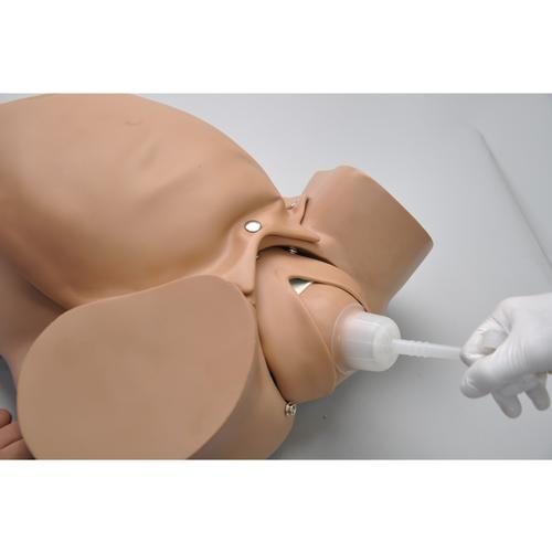 胎儿模拟，供练习吸出分娩术, 1005791 [W45026], 选项