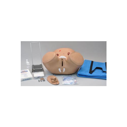 양성 도관삽입 & 장루간호 모형 Male & Female Catheterization & Ostomy Care Simulator, 1005806 [W45068], 도뇨관 설치