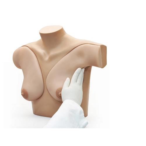 乳房自检模型, 1017548 [W45105], 女性健康教育