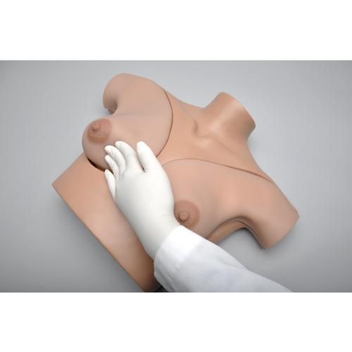 Simulador de autoexamen de pechos (BSE), 1017548 [W45105], Ginecología