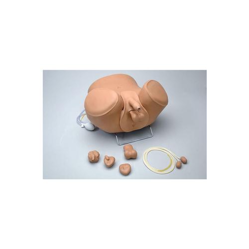 ZACK® Multipurpose Male Care Simulator, 1012487 [W45108], Untersuchungen am Mann