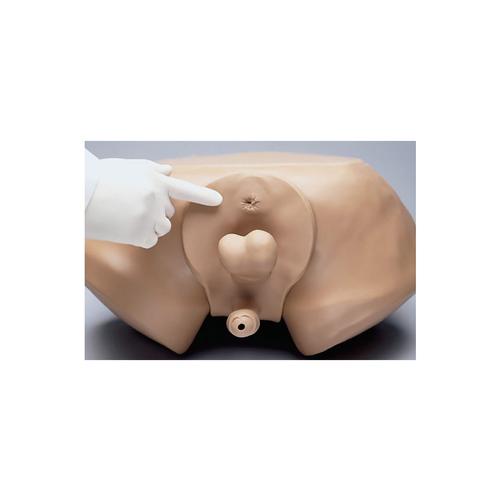 ZACK&reg; Multipurpose Male Care Simulator, 1012487 [W45108], Male Examination