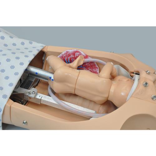 产妇和新生儿分娩躯干模型, 1015567 [W45113], 产科