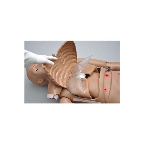 CPR SIMON® BLS - Full Body with Venous Sites, 1017559 [W45115], BLS Adult