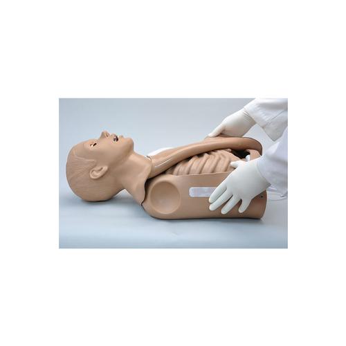 CPR SIMON® 상반신 시뮬레이터  CPR SIMON® Torso Simulator, 1005819 [W45117], 성인 기본 소생술