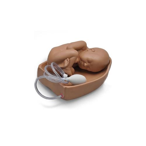 孕妇腹部触诊训练模块--, 1005823 [W45150], 产科