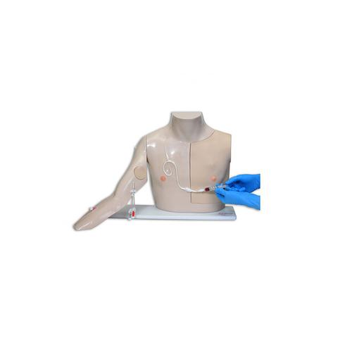 Chester Chest&trade; con nuevo brazo mejorado, 1009801 [W46507/1], Reanimaci&oacute;n cardiopulmonar avanzada con traumatismo (ATLS)