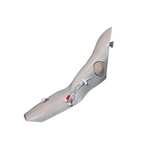 Brazo mejorado, 1005840 [W46511], Reanimaci&oacute;n cardiopulmonar avanzada con traumatismo (ATLS)
