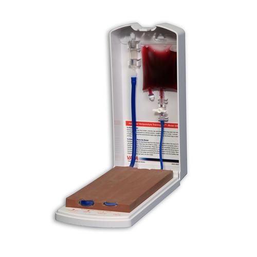 Advanced Four-Vein Venipuncture Training Aid™ - Dermalike II™ Latex Free - Darkly Pigmented, 1017968 [W46513D], Injections and Punctures