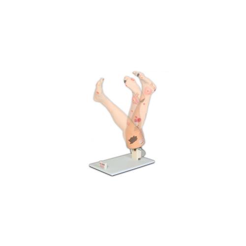 Display Stand for Vinnie Venous & Annie Arterial, 3001178 [W46523], Cuidado del paciente adulto