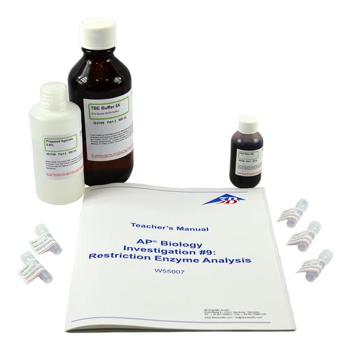 Biotechnologie&nbsp;: Analyse d&rsquo;un enzyme de restriction de l&rsquo;ADN, 1022407 [W55007], Kits Electrophor&egrave;se