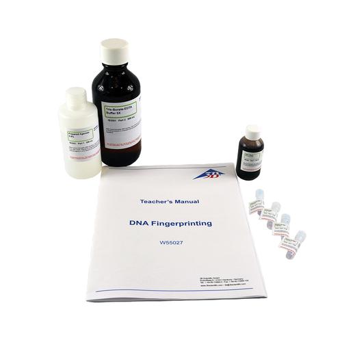DNA fingerprinting Electrophoresis Lab Activity, 1022427 [W55027], Electrophoresis Experiments
