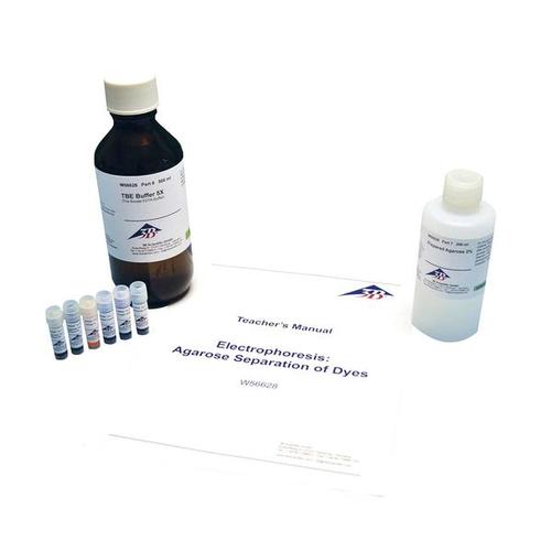 Elettroforesi: Separazione coloranti su agarosio gel, 1022410 [W56628], Kit per Elettroforesi