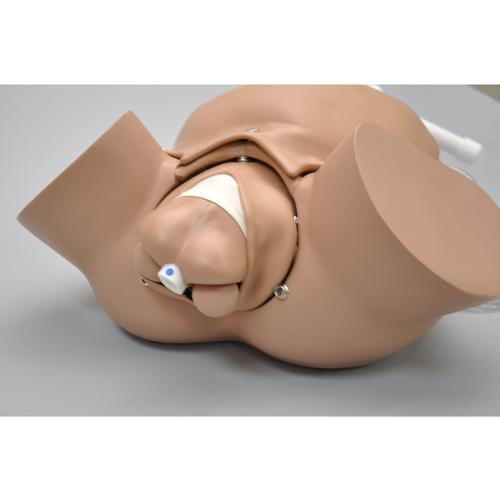 Simulador OB Susie®, 1013558 [W99999-565], Obstetrícia