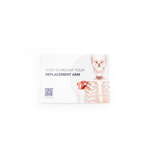 A13:Bras droite , Scapulaire, Clavicule, 1017308 [XA037], Pi&egrave;ces de rechange