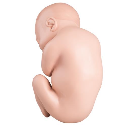 Spare fetus for L20, 1020700 [XL001], Replacements