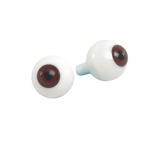 Hasta bakım mankenleri için çift göz yedeği, 1020704 [XP002], Yedek Parça