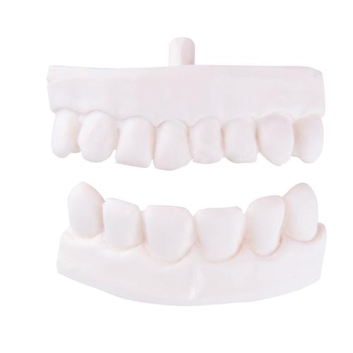 Spare dental partial prosthesis for P10 and P11, 1020705 [XP003], Replacements