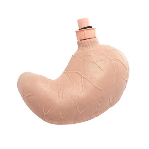Replacement stomach for patient care training manikin, 1020720 [XP032], Replacements