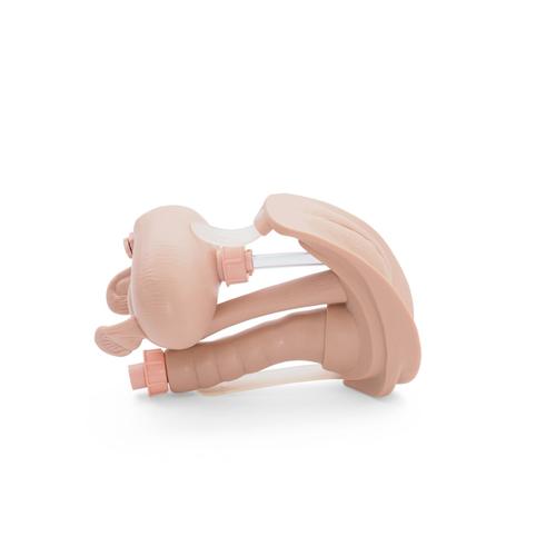 Spare female genital insert for Patient Care Manikin P10N, 1025297 [XP035N], Adult Patient Care
