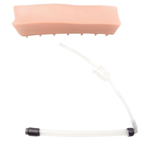 老年人LOR(无阻力)腰椎插件，用于硬膜外脊椎注射训练模型, 1020800 [XP61-003], 替代品