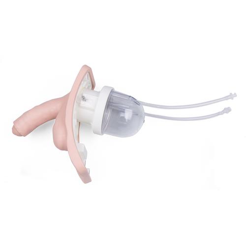 Somente inser&ccedil;&atilde;o de cateteriza&ccedil;&atilde;o, masculina, 1020234 [XP93-001], Cateteriza&ccedil;&atilde;o