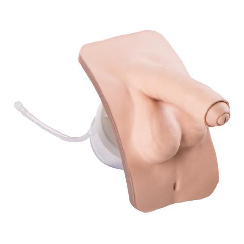 Male genital insert for P93 PRO/BASIC, 1020234 [XP93-001], Catheterization