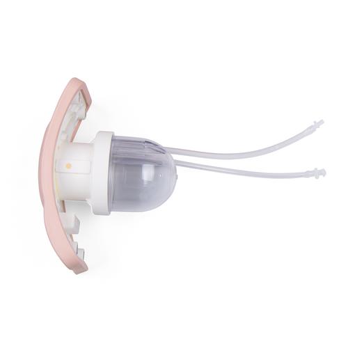 女性导尿模型生殖器插件, 1020233 [XP93-002], 导管插入