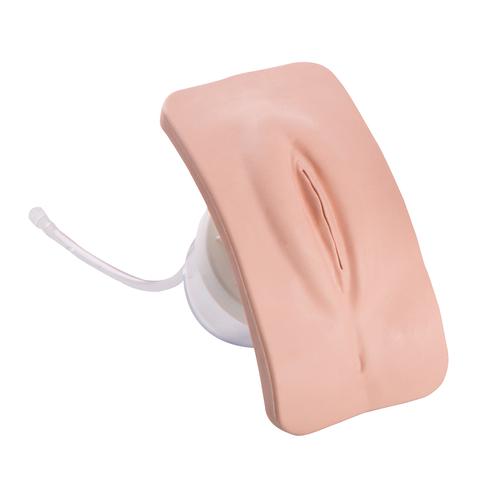 女性导尿模型生殖器插件, 1020233 [XP93-002], 替代品
