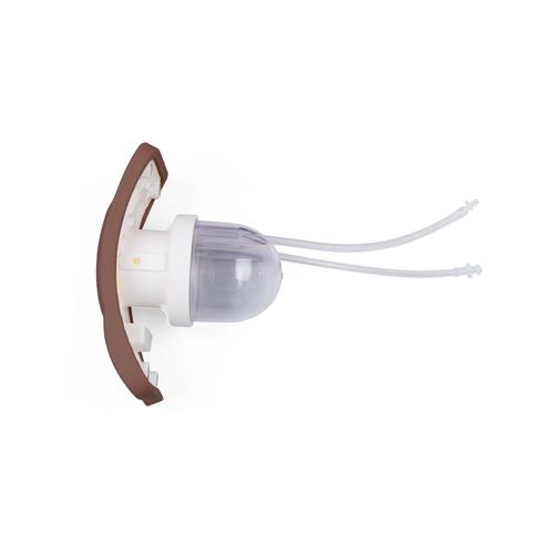 Female Genital Insert for P93D Pro/Basic, 1023973 [XP93D-002], Catheterization