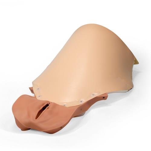 PPH Trainer P97에 사용되는 질 및 복부 커버  Vagina and Abdominal cover for PPH Trainer P97, 1021577 [XP97-004], 산과