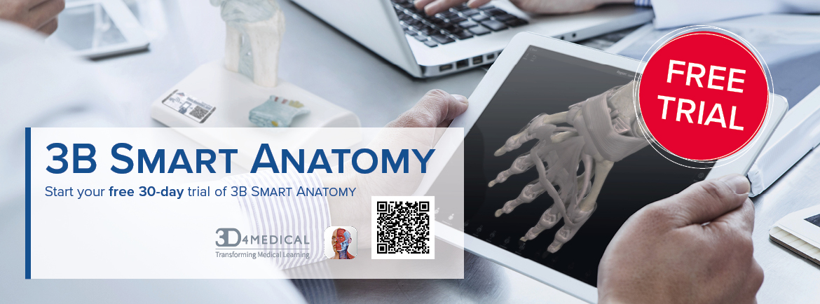 3B Smart Anatomy Banner seven day trial
