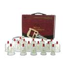Plastic cupping set,17cups with pump and tube, 1013327, Köpölyözés