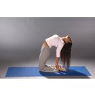 YogaMat 180x60x0,5 cm, anthracite, 1016538, Exercise Mats (Small)