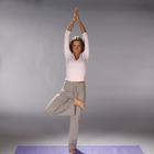 YogaMat 180x60x0,5 cm, anthracite, 1016538, Exercise Mats (Small)