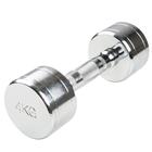 CHROME Dumbell 4,0KG, 1016588, Therapy and Fitness