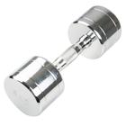 CHROME Dumbell 8,0KG, 1016592, Therapy and Fitness