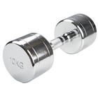 CHROME Dumbell 10KG, 1016594, Therapy and Fitness