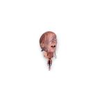 외상 삽관 머리 모형  Trauma Intubation Head, 1017132, 성인 기도관리유지